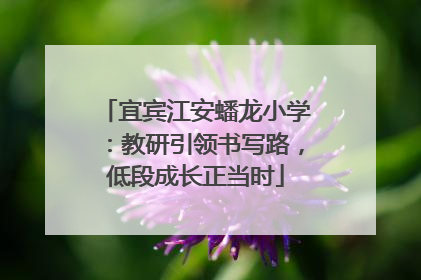宜宾江安蟠龙小学：教研引领书写路，低段成长正当时
