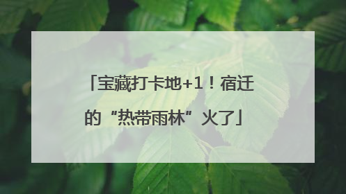 宝藏打卡地+1！宿迁的“热带雨林”火了