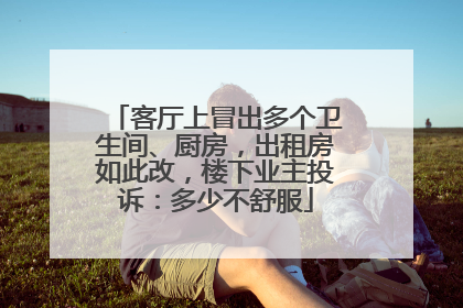 客厅上冒出多个卫生间、厨房，出租房如此改，楼下业主投诉：多少不舒服