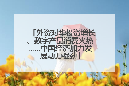 外资对华投资增长、数字产品消费火热……中国经济加力发展动力强劲