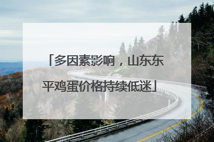 多因素影响，山东东平鸡蛋价格持续低迷
