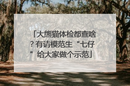 大熊猫体检都查啥？有请模范生“七仔”给大家做个示范