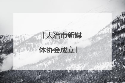 大冶市新媒体协会成立