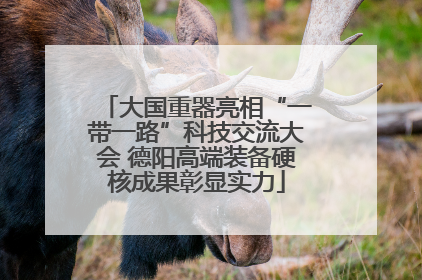 大国重器亮相“一带一路”科技交流大会 德阳高端装备硬核成果彰显实力