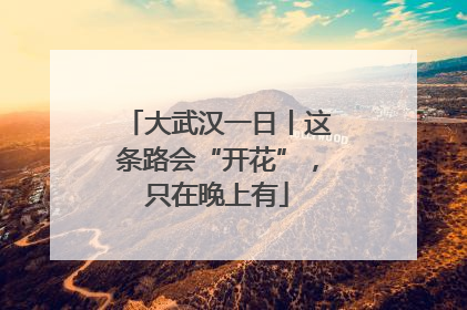大武汉一日丨这条路会“开花”，只在晚上有