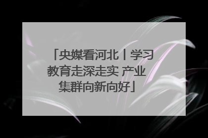 央媒看河北丨学习教育走深走实 产业集群向新向好