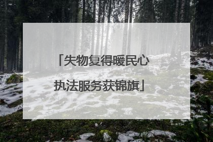 失物复得暖民心 执法服务获锦旗