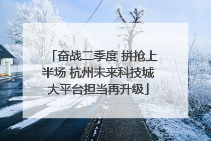 奋战二季度 拼抢上半场 杭州未来科技城大平台担当再升级