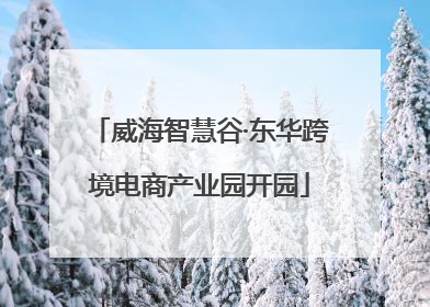 威海智慧谷·东华跨境电商产业园开园