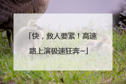 快，救人要紧！高速路上演极速狂奔~