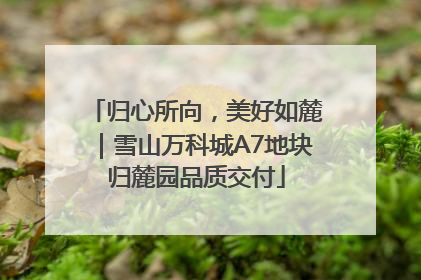 归心所向，美好如麓｜雪山万科城A7地块归麓园品质交付