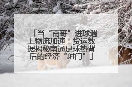 当“南哥”进球遇上物流加速：货运数据揭秘南通足球热背后的经济“射门”