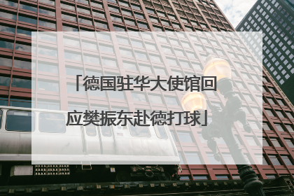 德国驻华大使馆回应樊振东赴德打球