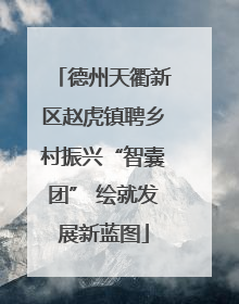 德州天衢新区赵虎镇聘乡村振兴“智囊团” 绘就发展新蓝图