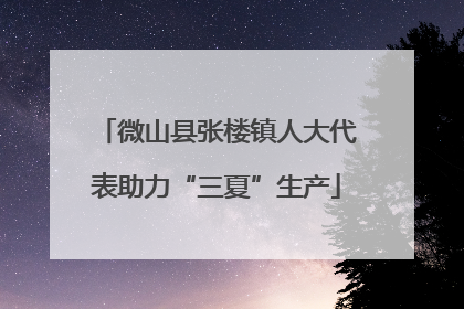 微山县张楼镇人大代表助力“三夏”生产