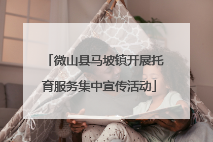 微山县马坡镇开展托育服务集中宣传活动