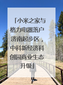 小米之家与格力电器落户济南起步区，中科新经济科创园商业生态升级