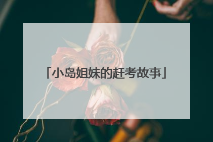 小岛姐妹的赶考故事