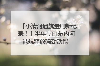 小清河通航量刷新纪录！上半年，山东内河港航释放强劲动能