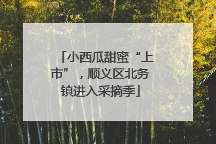 小西瓜甜蜜“上市”，顺义区北务镇进入采摘季