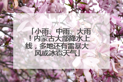 小雨、中雨、大雨！内蒙古大部降水上线，多地还有雷暴大风或冰雹天气