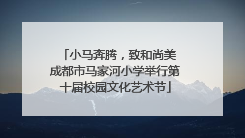 小马奔腾，致和尚美 成都市马家河小学举行第十届校园文化艺术节