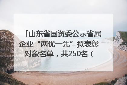 山东省国资委公示省属企业“两优一先”拟表彰对象名单，共250名（个）党员和党组织