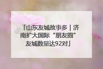 山东友城故事多｜济南扩大国际“朋友圈”友城数量达92对
