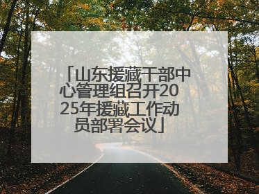 山东援藏干部中心管理组召开2025年援藏工作动员部署会议