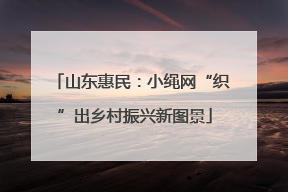 山东惠民：小绳网“织”出乡村振兴新图景