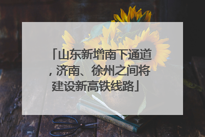 山东新增南下通道，济南、徐州之间将建设新高铁线路