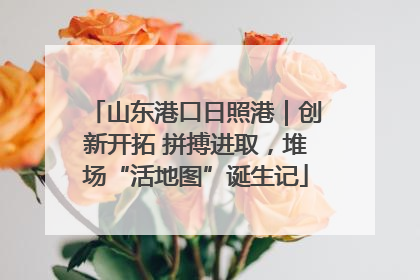 山东港口日照港｜创新开拓 拼搏进取，堆场“活地图”诞生记