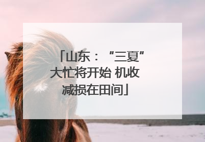 山东：“三夏”大忙将开始 机收减损在田间