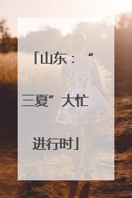 山东：“三夏”大忙进行时