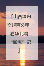 山西境内穿越百公里 看华北豹“搬家”记