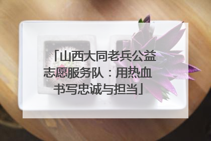 山西大同老兵公益志愿服务队：用热血书写忠诚与担当