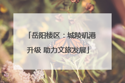 岳阳楼区：城陵矶港升级 助力文旅发展