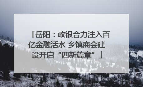 岳阳：政银合力注入百亿金融活水 乡镇商会建设开启“四新篇章”