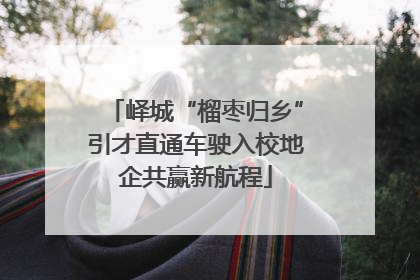 峄城“榴枣归乡”引才直通车驶入校地企共赢新航程