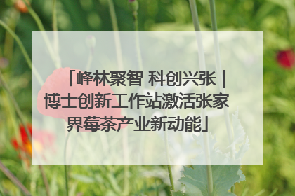 峰林聚智 科创兴张｜博士创新工作站激活张家界莓茶产业新动能