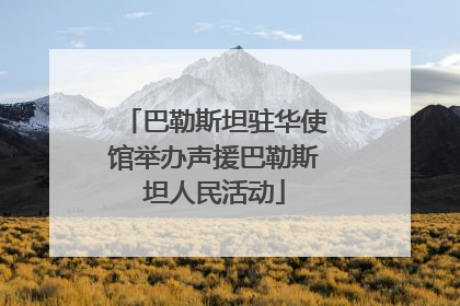 巴勒斯坦驻华使馆举办声援巴勒斯坦人民活动