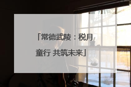 常德武陵：税月童行 共筑未来