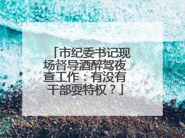 市纪委书记现场督导酒醉驾夜查工作：有没有干部耍特权？