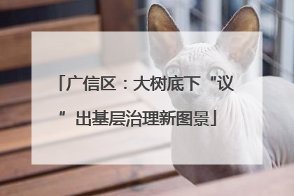 广信区：大树底下“议”出基层治理新图景