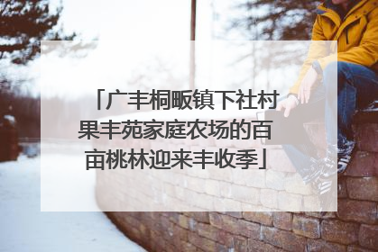 广丰桐畈镇下社村果丰苑家庭农场的百亩桃林迎来丰收季
