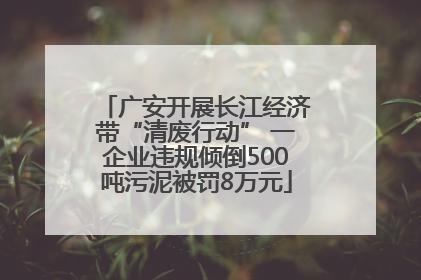 广安开展长江经济带“清废行动” 一企业违规倾倒500吨污泥被罚8万元