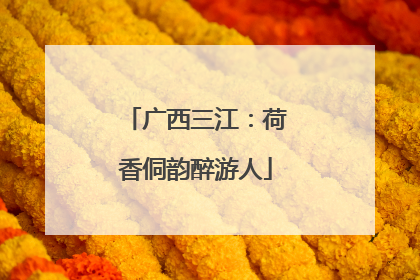 广西三江：荷香侗韵醉游人