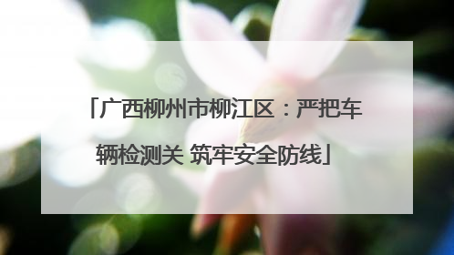 广西柳州市柳江区：严把车辆检测关 筑牢安全防线