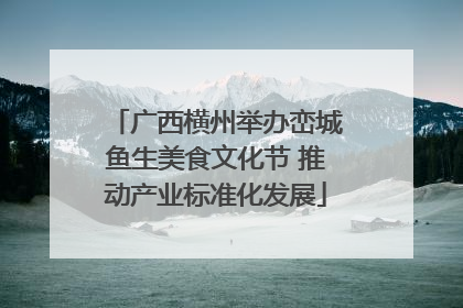 广西横州举办峦城鱼生美食文化节 推动产业标准化发展