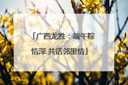广西龙胜：端午粽情深 共话邻里情